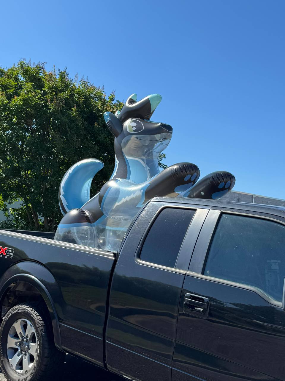 96" Long Acheles The Inflatable Wolf