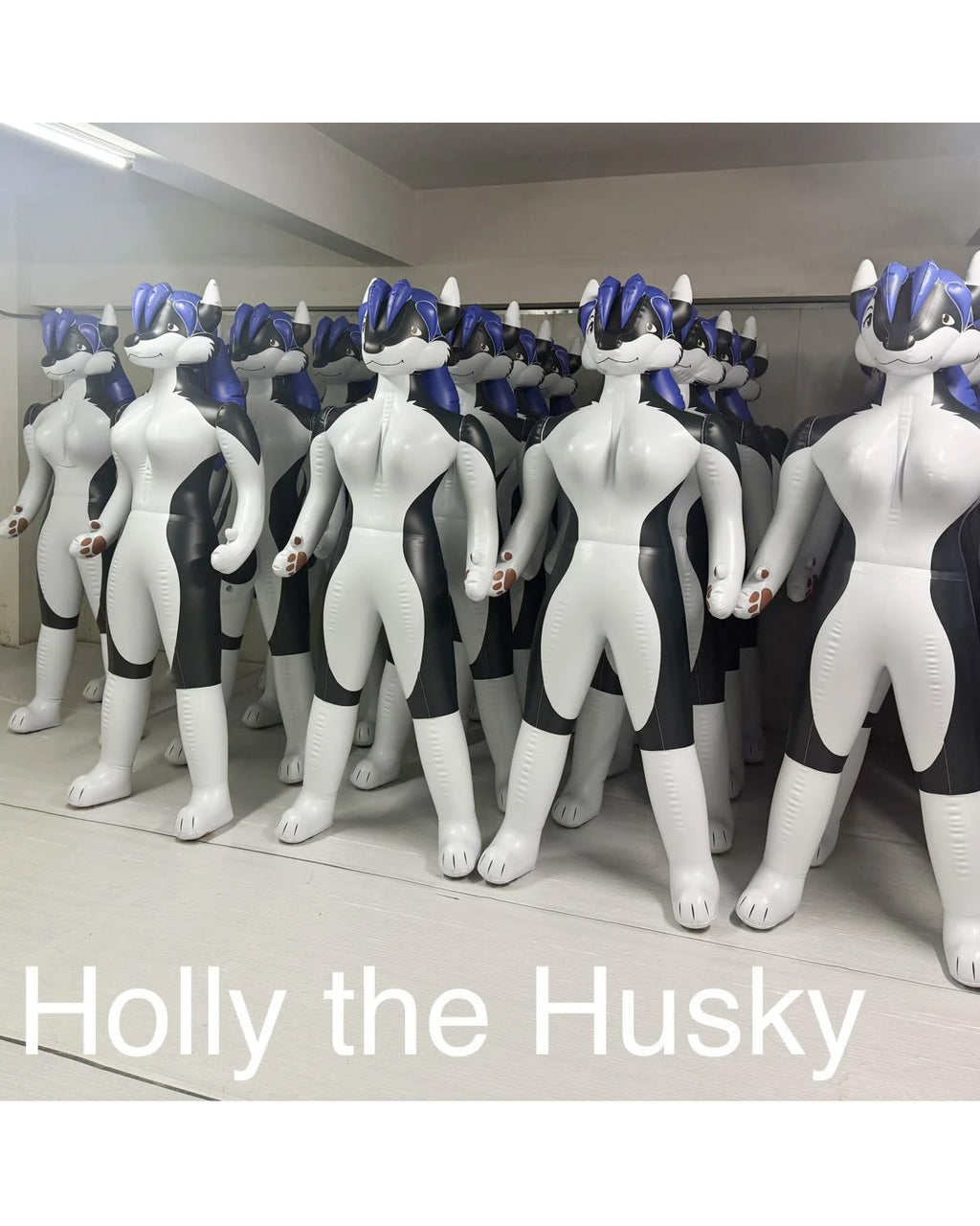 Holly the Husky - 72 inch Tall