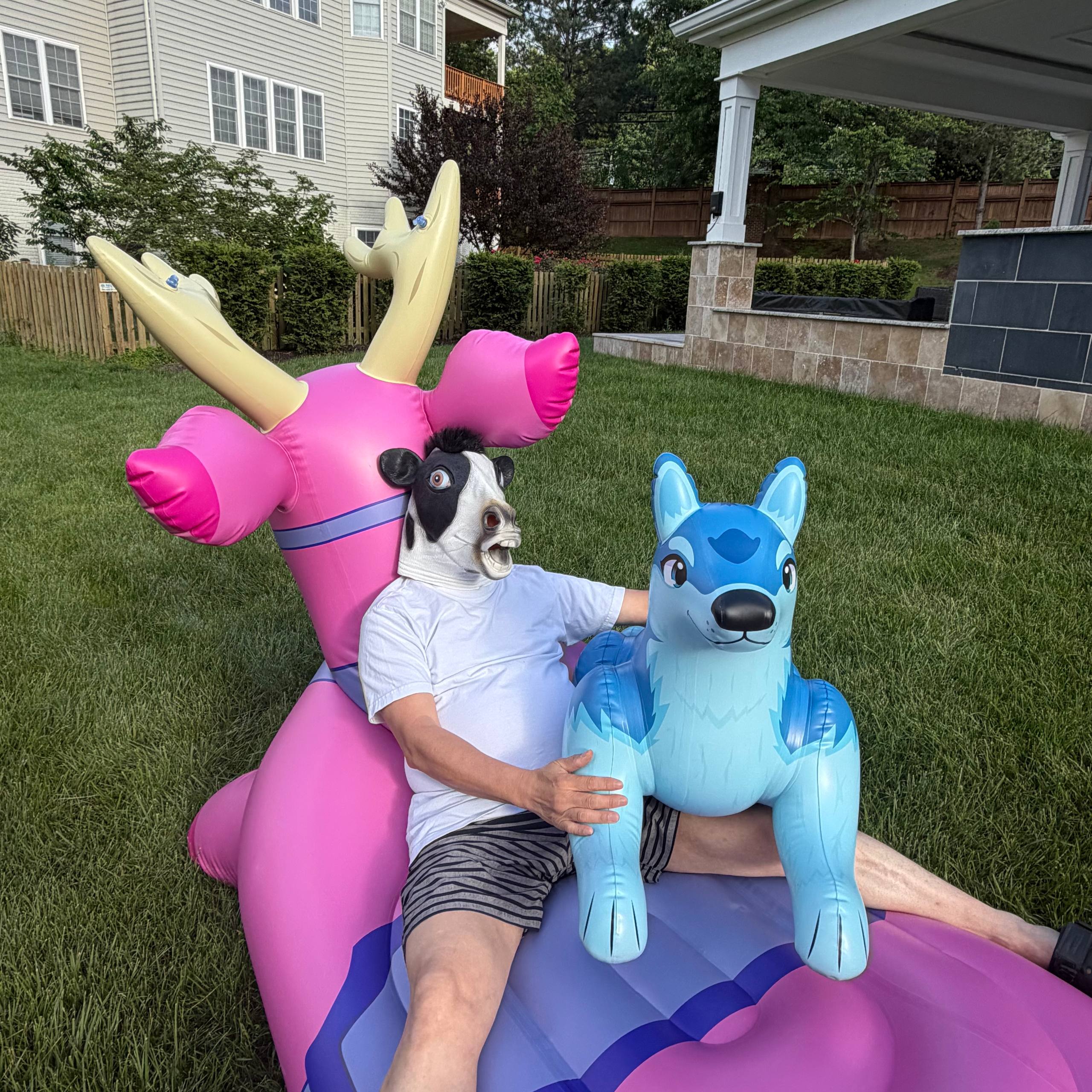 Inflatable Lounge Creature Forms: 2 Designs 96" Long