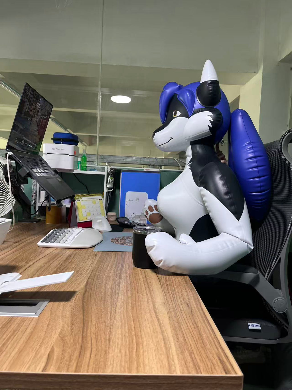 Holly the Husky - 72 inch Tall