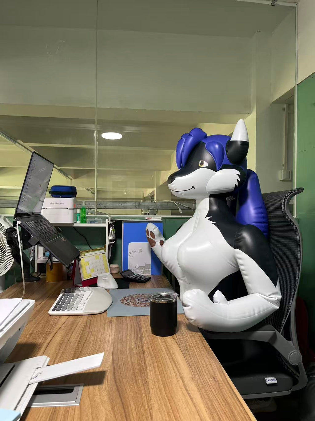 Holly the Husky - 72 inch Tall