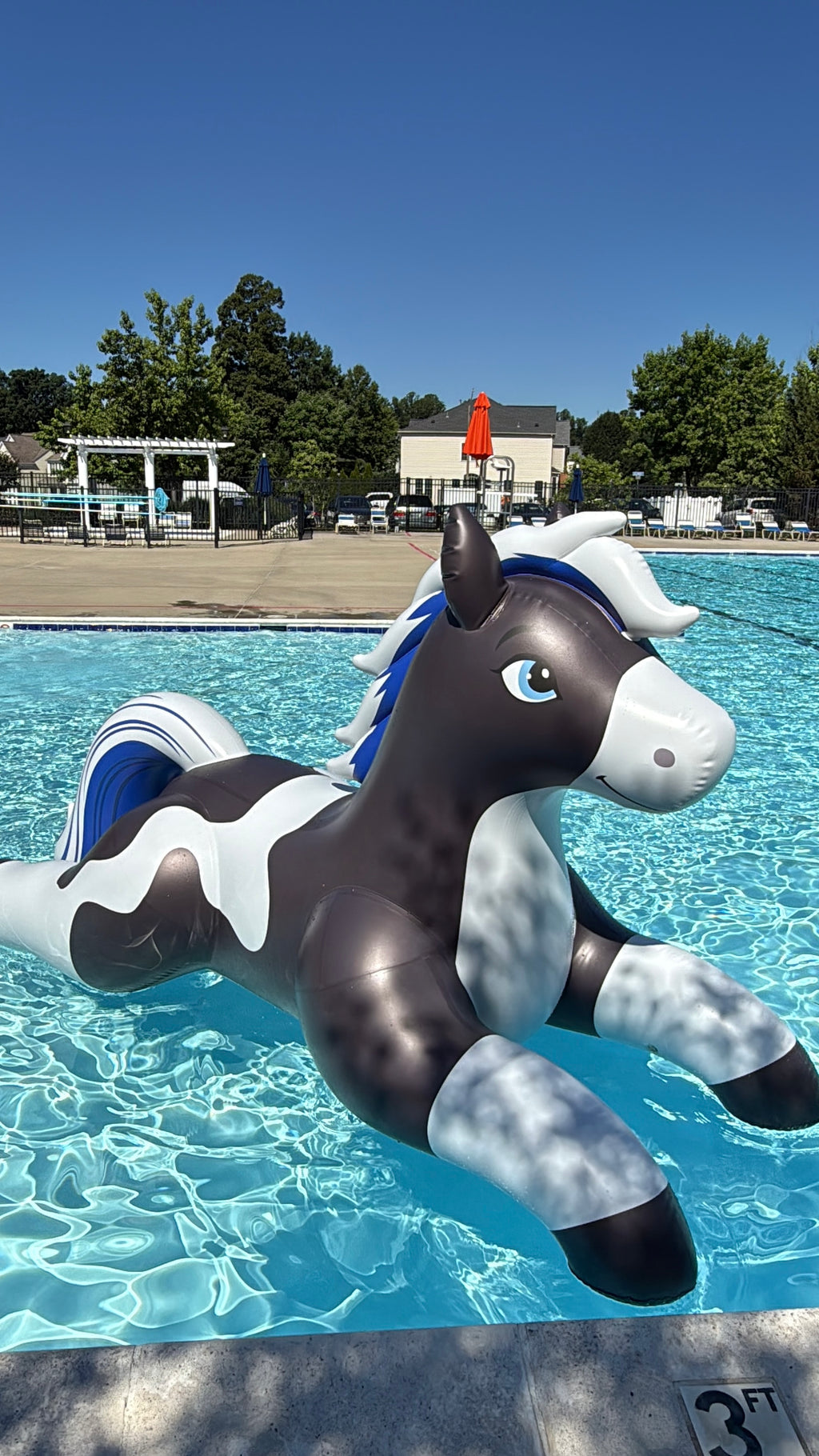 Velaris Horse - 99"/252cm Long