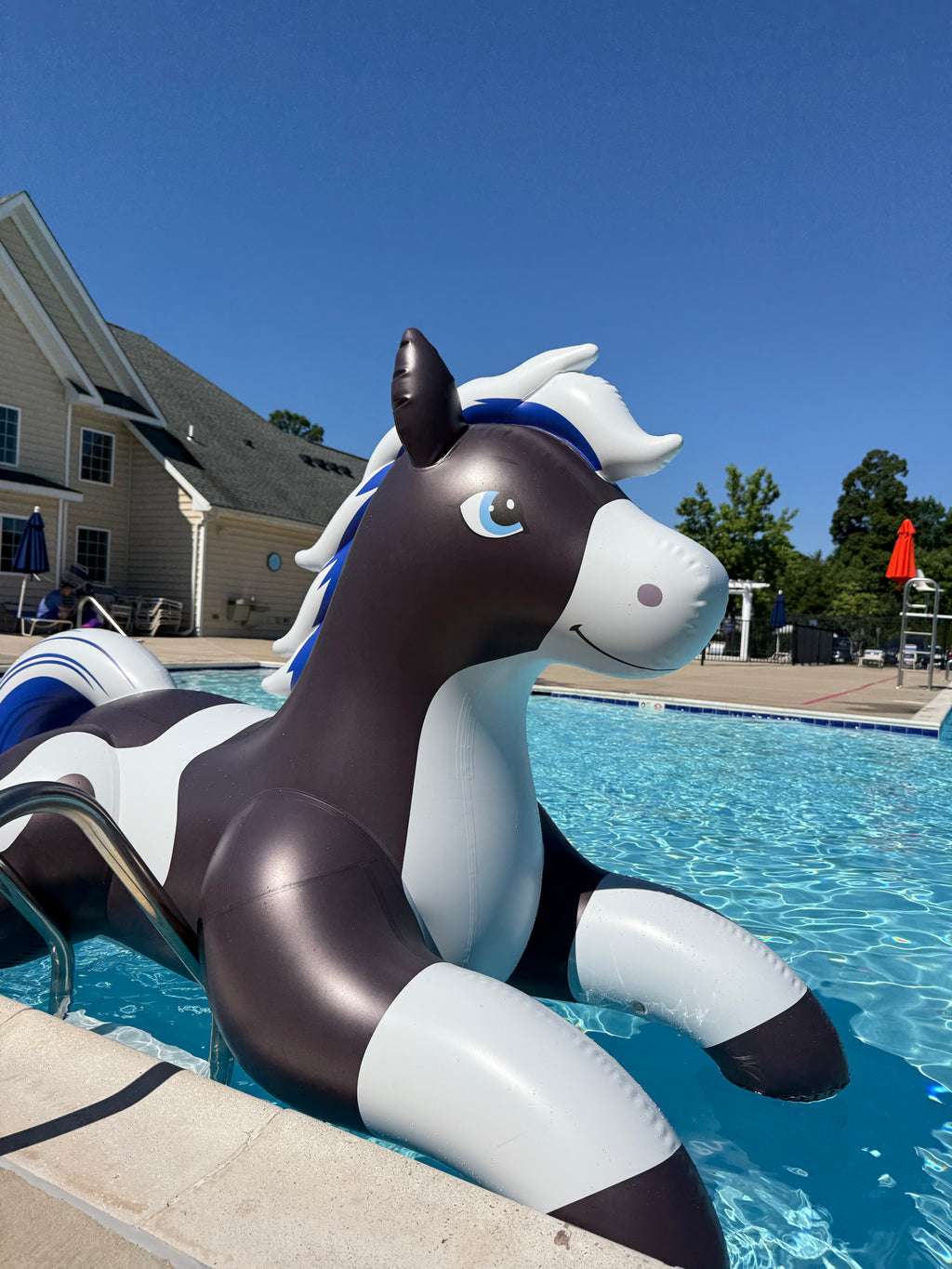 Velaris Horse - 99"/252cm Long
