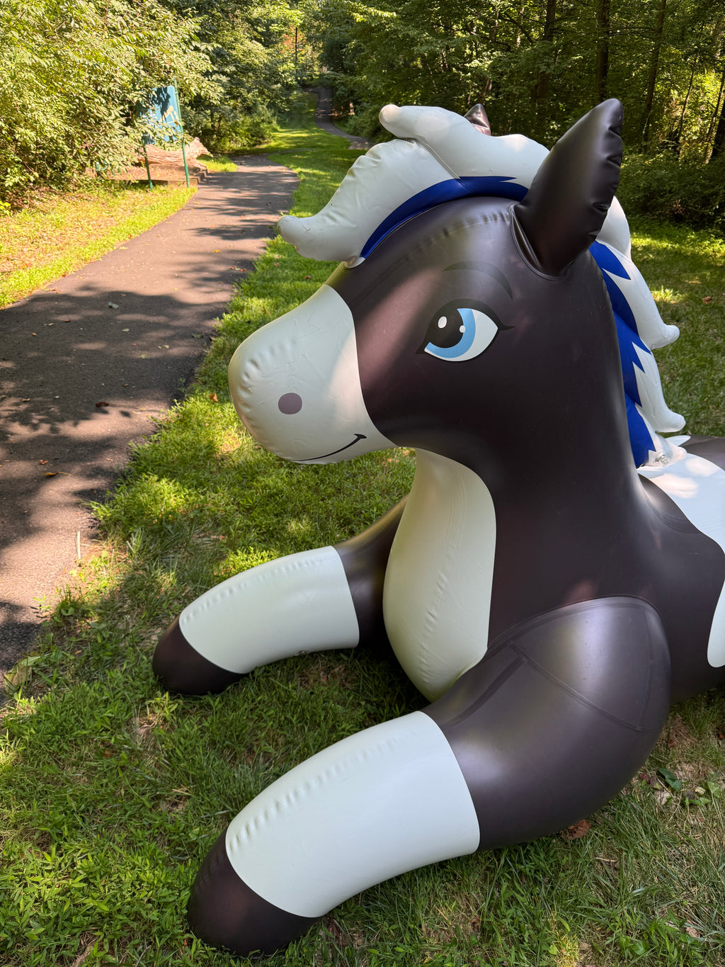 Velaris Horse - 99"/252cm Long