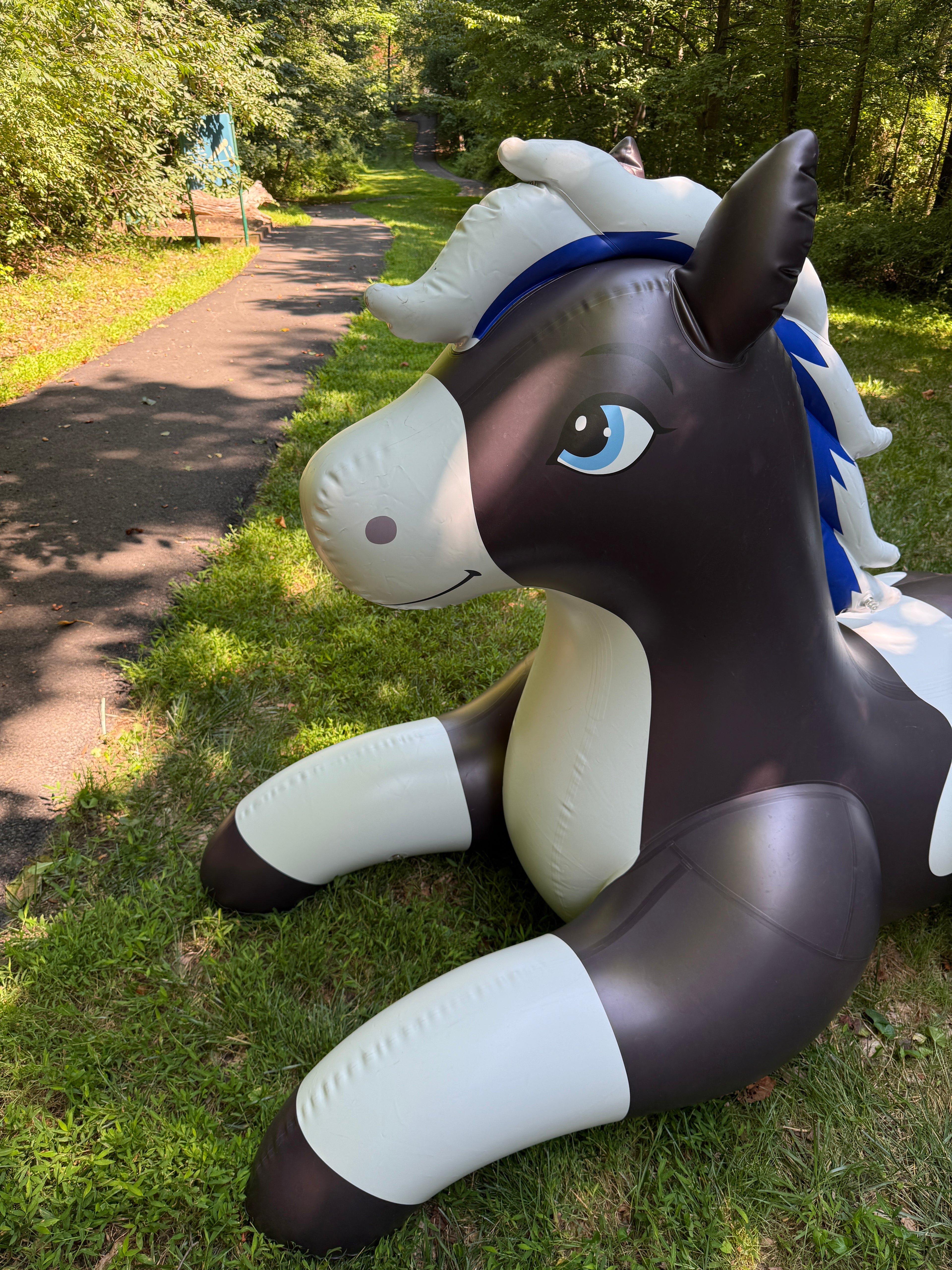 Velaris Horse - 99"/252cm Long