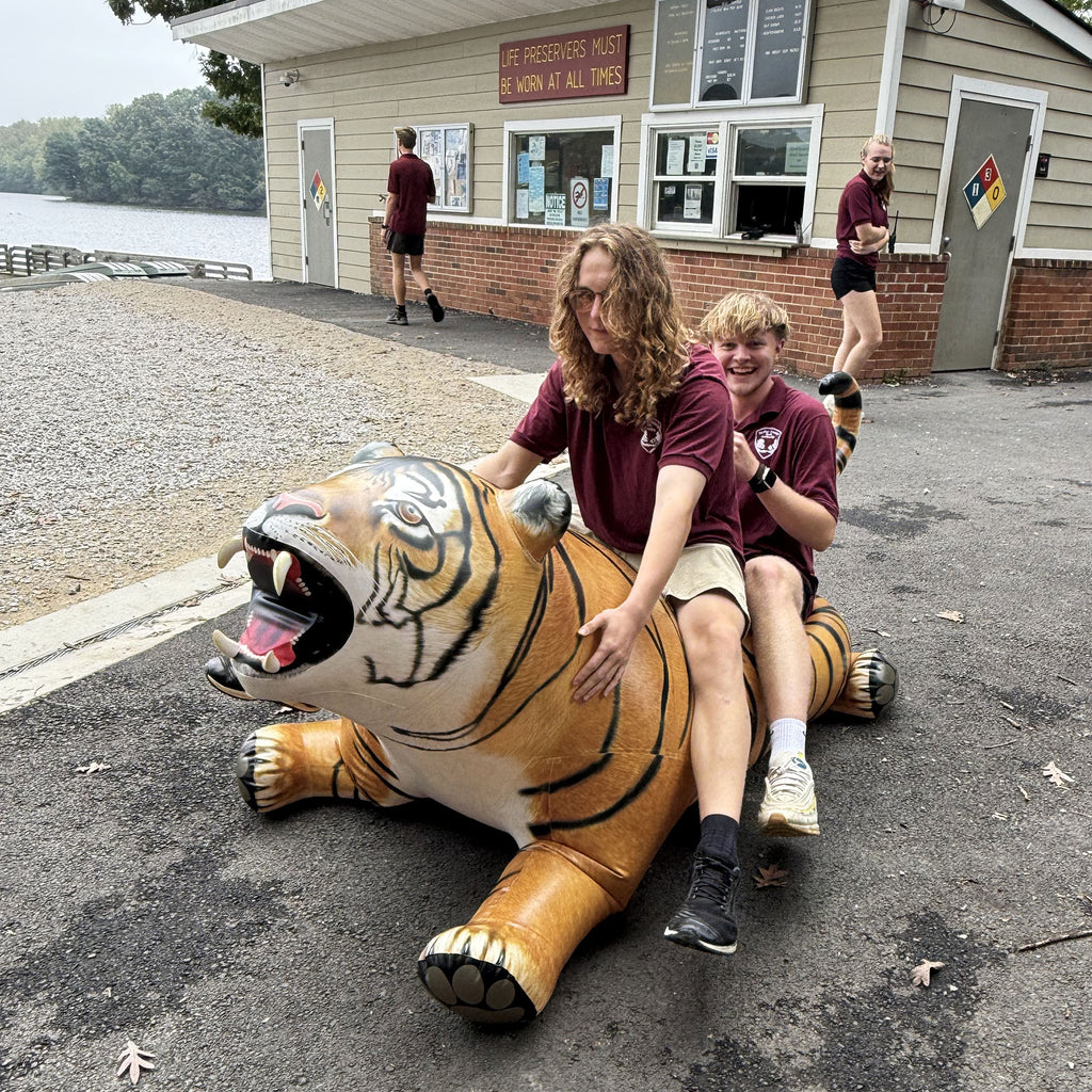 Tiger 96" Long
