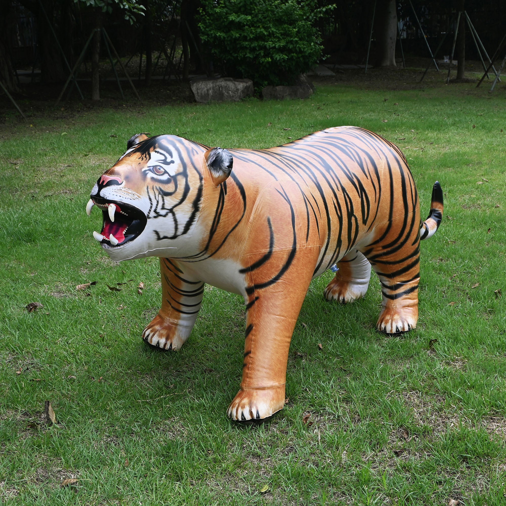 Tiger 96" Long