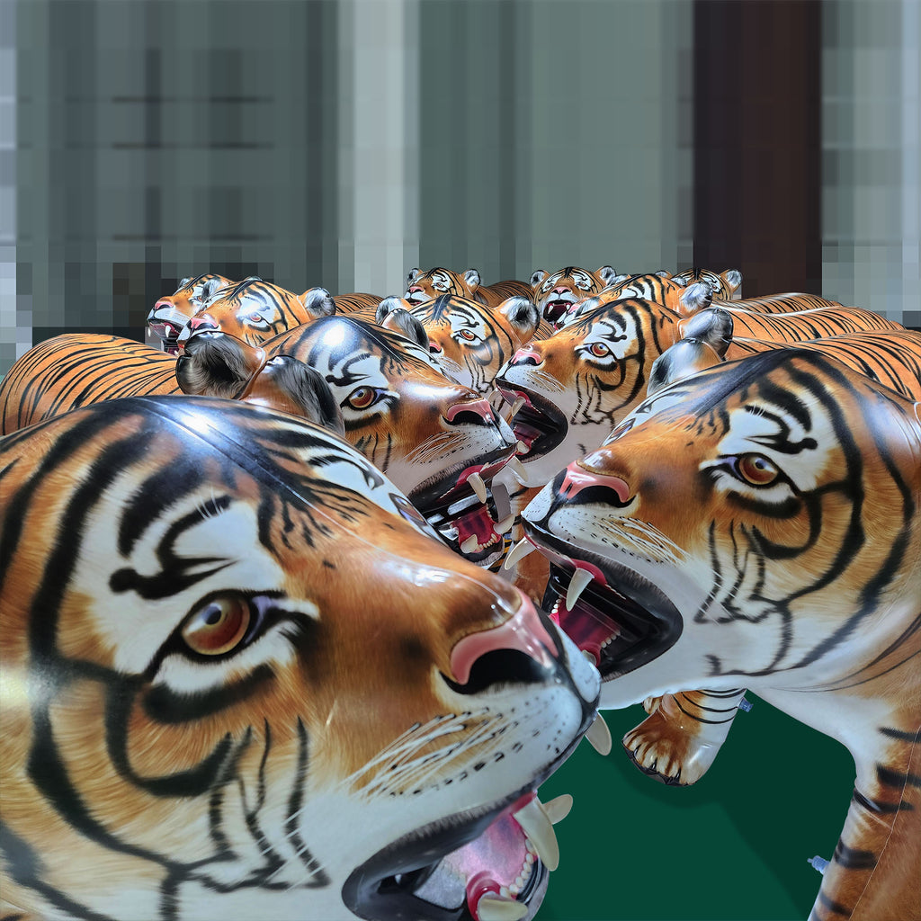 Tiger 96" Long