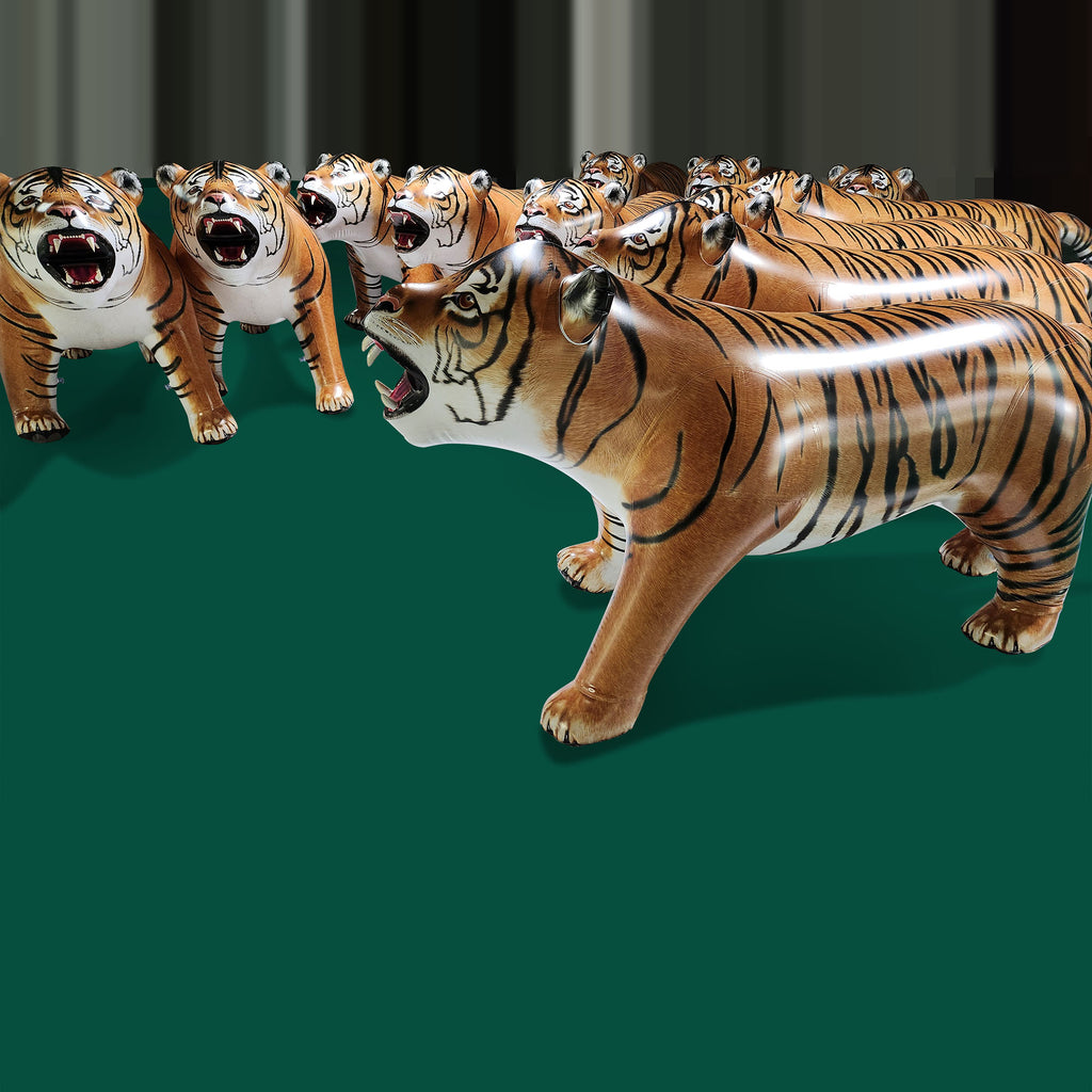 Tiger 96" Long